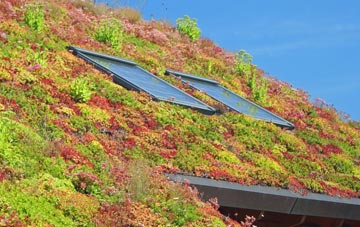 Haslingfield living roof systems